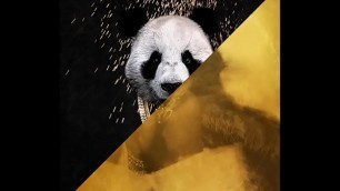 Desiigner vs&period; Future - Panda Mask Off &lpar;JLENS Edit&rpar;